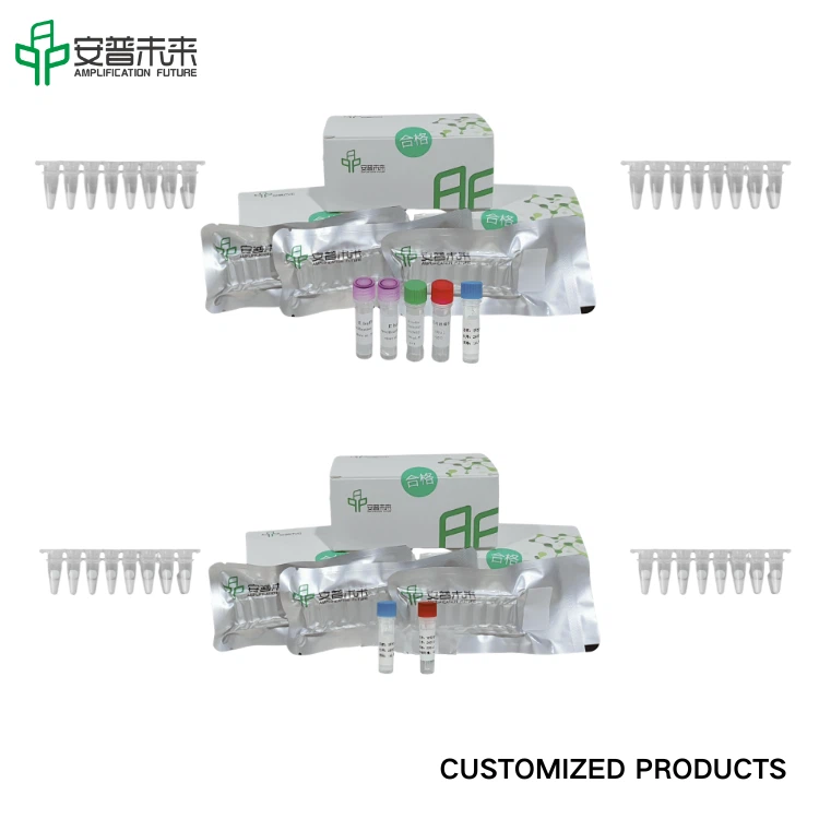 Mira chlamydia trachomatis Fluorescence Kit Investigation Només Ús