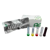 Kit de detecció de fluorescència MIRA Toxoplasma Gondii només per a ús d'investigació